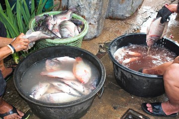Washing fish for sale