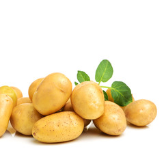 New potato isolated on white background 