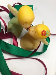 Love of the cute fairy