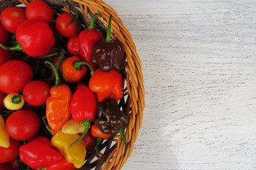 fresh vegetables in a basket,  hot pepper and cherry tomatoes