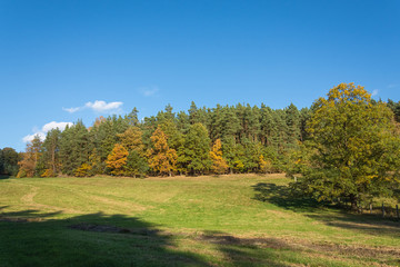 Scenic summer landscape with green fields