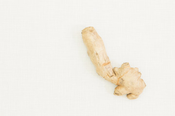 Ingwer - Phallus