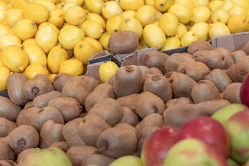 small shop. in the window of a kiwi. close-up. texture.
