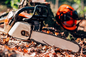 chainsaw and helmet in the forest, deforestation for logging