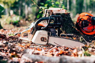 chainsaw and helmet in the forest, deforestation for logging