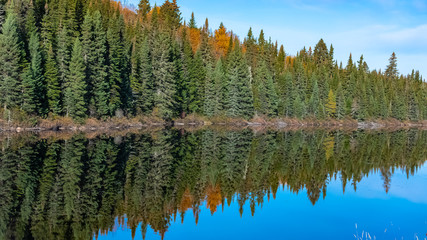 Obraz premium Canada, panorama of a lake in the forest during the Indian summer, reflection of the trees in the water