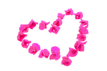 festive drawing heart made from natural fresh pink bougainvillea flowers