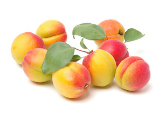 Fresh cut apricot fruits isolated on white background, with clipping path