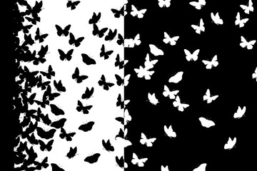 Fototapeta na wymiar Vector silhouette of butterfly on white background. Symbol of animal, insect, fly, migratory.