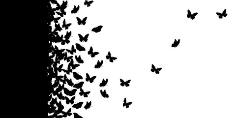 Vector silhouette of butterfly on white background. Symbol of animal, insect, fly, migratory.