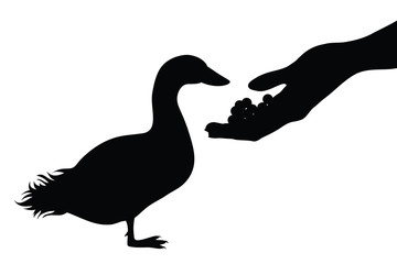 Vector silhouette of person who give food his goose on white background. Symbol of animal, pet, eat, care, save, vet, veterinary, farm, poultry.