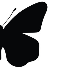 Vector silhouette of butterfly on white background. Symbol of animal, insect, fly, migratory.