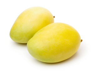 Mango on white background