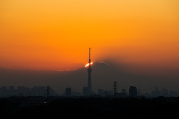 スカイツリーと富士山の後ろに沈む夕日（東京、日本）