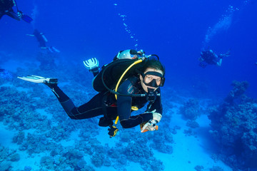 Diving the Red Sea Egypt