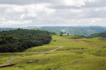 Obraz premium Beautiful view of Sacred groove in Mawsynram, Meghalaya