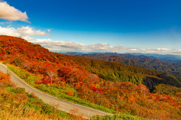 鳥海山の紅葉