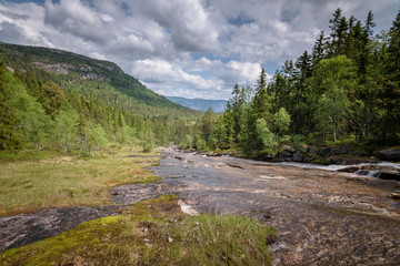 Fototapeta na wymiar Waterfall in green forest landscape Norway