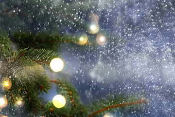 Fototapeta na wymiar Christmas background of fir breanch and free space for your decoration. 