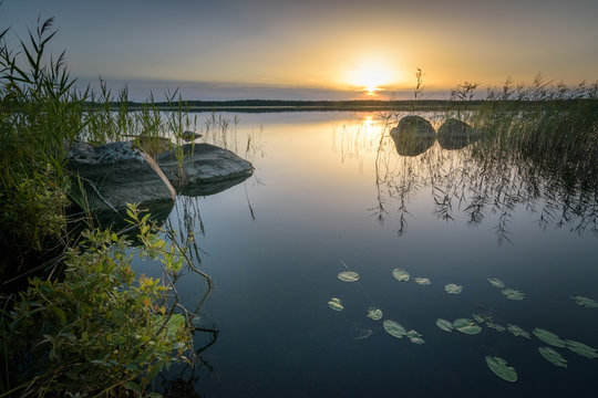 Estonian forest swamp lake at sunset with beatiful still water