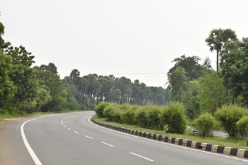 long empty highway road turning right, palm tree on the roadside,and small trees on the divider, isolated with sky.