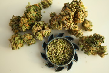 Fototapeta premium grinded medical cannabis hemp buds