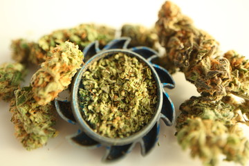 grinded medical cannabis hemp buds
