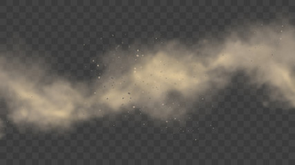 White or gray smoke, realistic mist or dust motion, cloud on transparent background or fog in light. Cigarette or spray effect. Spooky steam or vapor. Space nebula or atmosphere. Pollution and exhaust