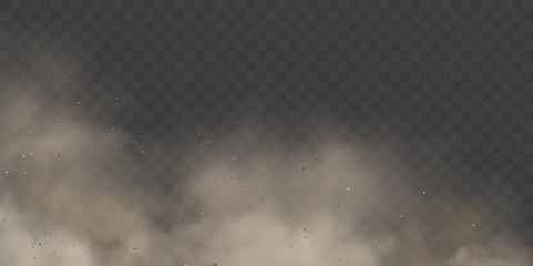 Cloud condensation or white smoke on transparent background. Mystical fog or spooky mist backdrop. Dust effect or explosion ash, space and vapor, dry ice steam and incense, gas and air, fume © Sensvector