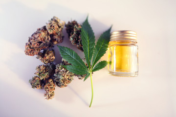 Medical marijuana cannabis cbd oil