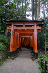 Red Torii gates in Fushimi Inari shrine in Kyoto, Japan