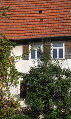 Fototapeta na wymiar detail of old house with overgrown facade