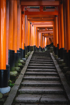 Red Torii gates in Fushimi Inari shrine in Kyoto, Japan © Melanie