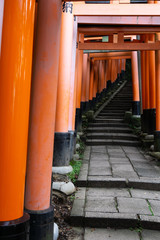 Red Torii gates in Fushimi Inari shrine in Kyoto, Japan