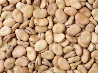 Pile of broad beans, background