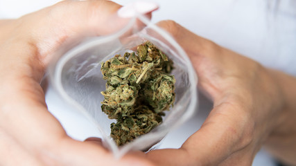Explore cannabis strains with a new perspective. Cannabinoid and terpene profile, Terpenes in...