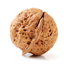 walnuts on a white background