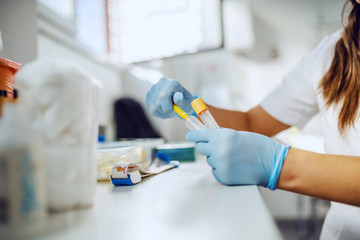 Fototapeta na wymiar Close up of female laboratory assistant preparing needle and test tubes for blood sampling.