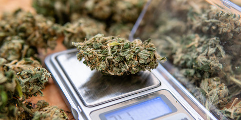 Explore cannabis strains with a new perspective. Cannabinoid and terpene profile, Terpenes in...