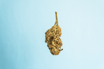 Explore cannabis strains with a new perspective. Cannabinoid and terpene profile, Terpenes in...