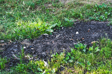 Fireplace in forest with garbage left after campers