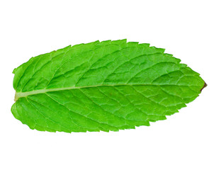 Obraz premium Fresh mint leaf isolated on a white background. Top view.