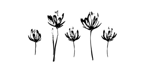 Set of hand drawn abstract modern flowers silhouette brush ink painting. Grunge style ink painted elements for design. Black isolated vector on white background