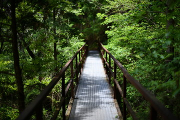天川村 みたらい渓谷 洞川温泉 ハイキングコース 景
