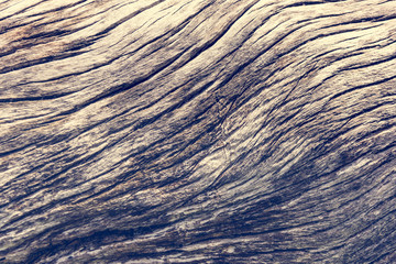 old wood texture