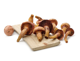 boletus mushrooms on white background