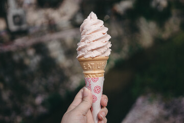 Sakura Ice Cream