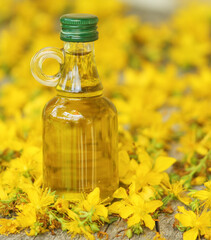Oil in a glass bottle, with a background of St. John's wort