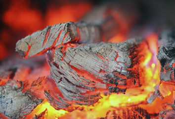 The fire with burning wood embers