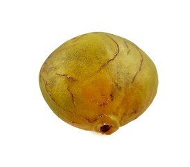 Gayam Fruit (Inocarpus fagifer (Parkinson ex Zollinger) Fosberg) isolated white background